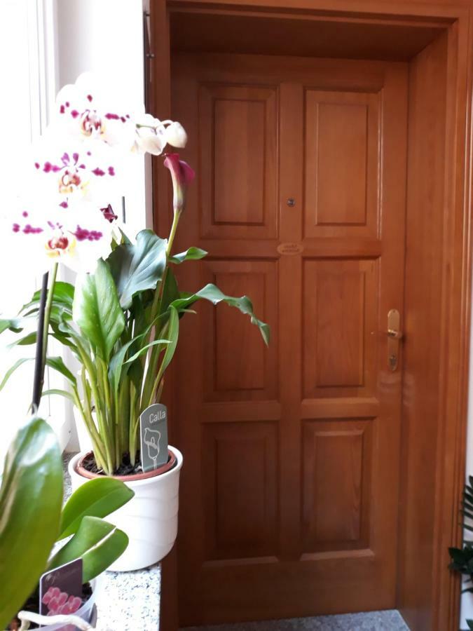 Maristela Apartament Rovinj